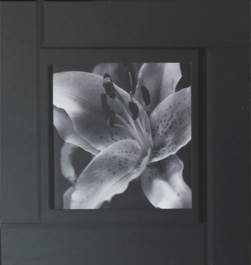 kxjzk-08 45x45 0.033-6pcs (3)